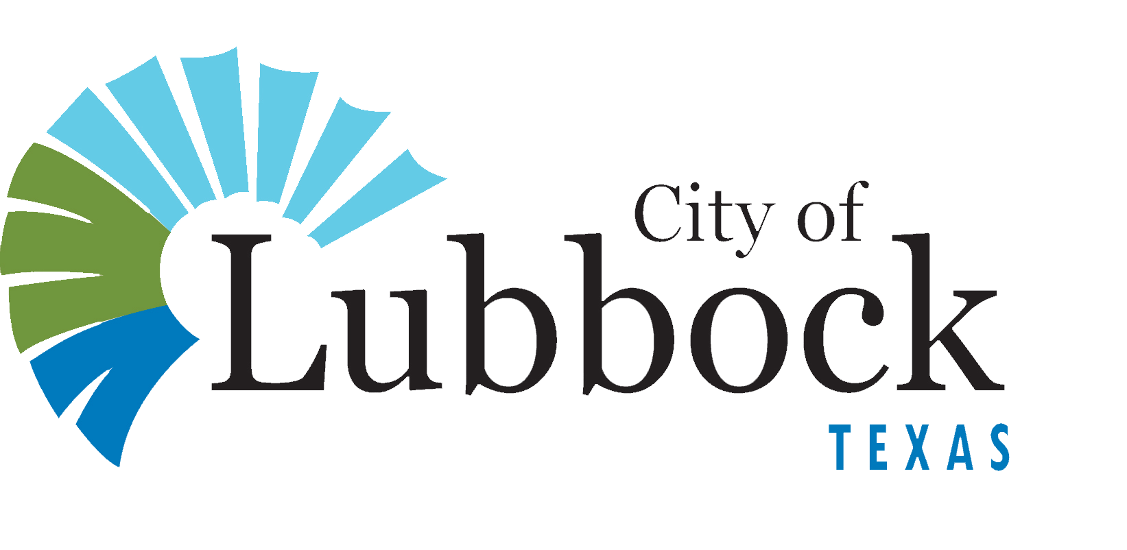 Image of New City Logo Black Text