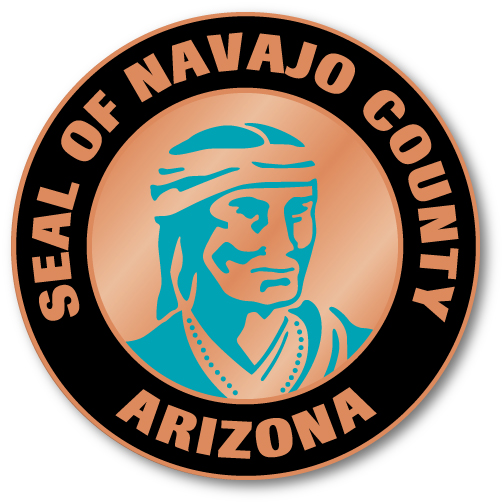 Image of Seal Of Navajo County Pin